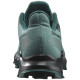 Salomon Alphacross 5 GTX